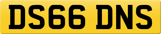 DS66DNS